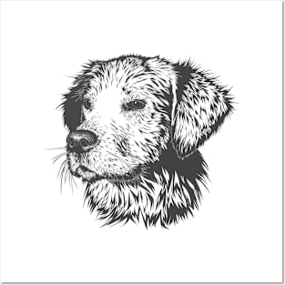 Cute dog Posters and Art